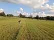 Schoolhouse Rental